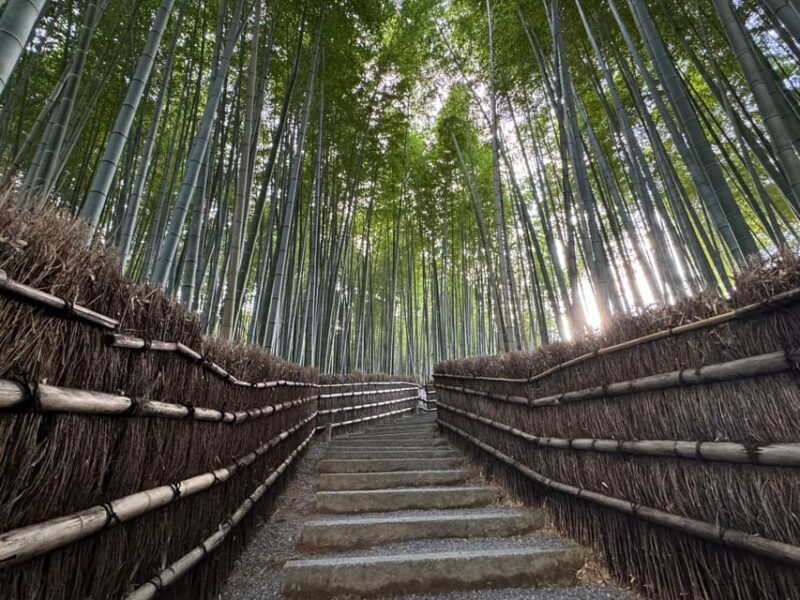 Kyoto: Stroll around the Depths of Arashiyama - What Reviewers Say