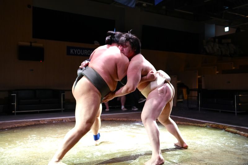 Kyoto Sumo Stable: Sumo Show Ticket with Chicken Chanko Hot Pot - A show, not a tournament