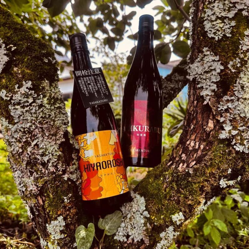 Kyoto: Takeno Sake Brewery Tour with Tasting - Exploring Kyoto’s Sake Culture