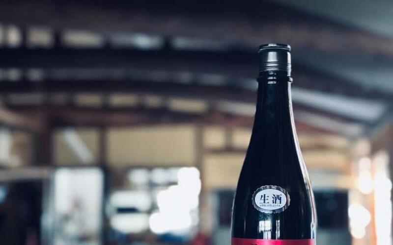 Kyoto: Takeno Sake Brewery Tour with Tasting - Who Should Consider This Experience