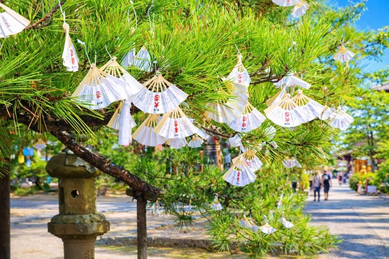 Kyoto Tango Coast Secret: Amanohashidate, Ine Funaya, Ine Bay Day Trip (Departing from Osaka or Kyoto) - Matsuba crab lunch is a welcome part of the pitch