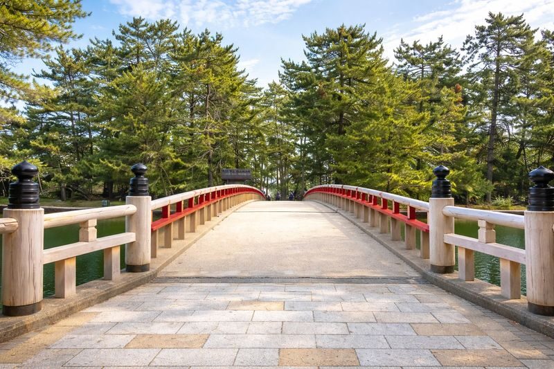 Kyoto Tango Coast Secret: Amanohashidate, Ine Funaya, Ine Bay Day Trip (Departing from Osaka or Kyoto) - Guides can make a long bus day feel easier