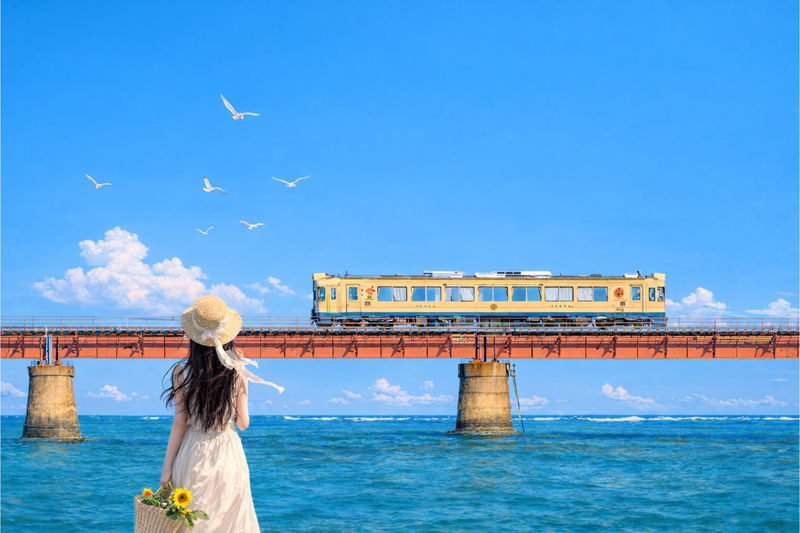 Kyoto: Tango Railway Sea Train & Amanohashidate & Ine Boathouse Cruise Day Trip (From Osaka) - From Osaka to the Sea of Kyoto