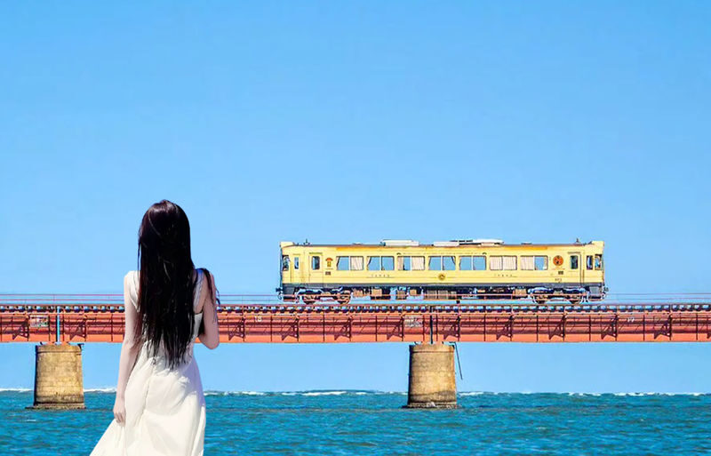 Kyoto - Tango Sea Train & Amanohashidate Cable Car & Ine Boathouse Boat Tour (Departure from Osaka) - The useful details at a glance