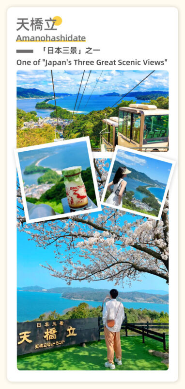 Kyoto - Tango Sea Train & Amanohashidate Cable Car & Ine Boathouse Boat Tour (Departure from Osaka) - Practical advice before you go