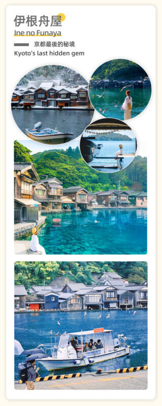 Kyoto - Tango Sea Train & Amanohashidate Cable Car & Ine Boathouse Boat Tour (Departure from Osaka) - Who should book this day trip?