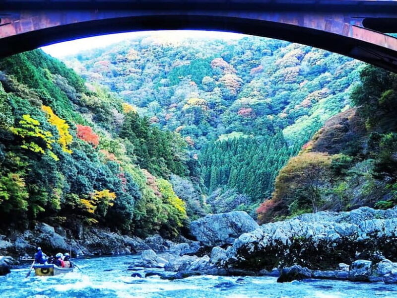 Kyoto Taxi Tour by Ivy Leaguer Photographer & Licended Guide - Why This Tour Offers Good Value