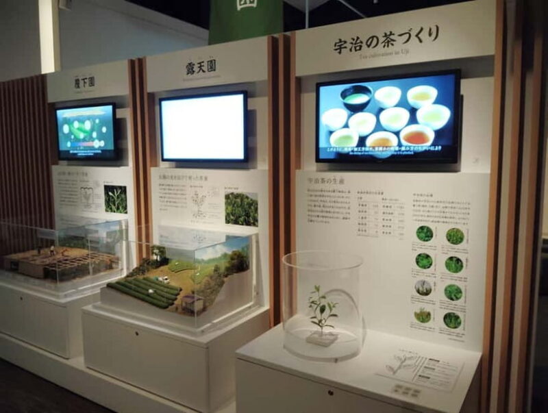 Kyoto: Tea Museum and Tsuen Teahouse Guided Tour - Why This Tour Works