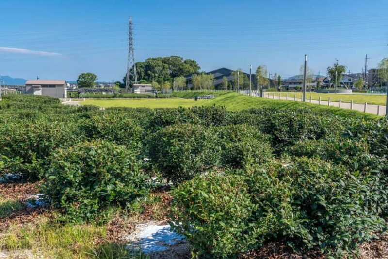 Kyoto: Tea Museum Tickets and Matcha Grinding Experience - Reviews Speak Volumes