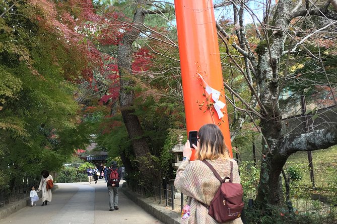 Kyoto Tea Town for Matcha Lovers - History of Matcha in Kyoto