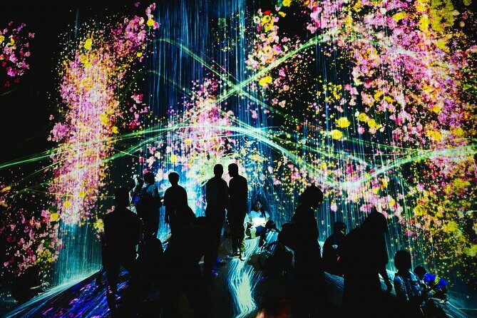 Kyoto TeamLab Biovortex & Kyoto Walking Tour - Good To Know