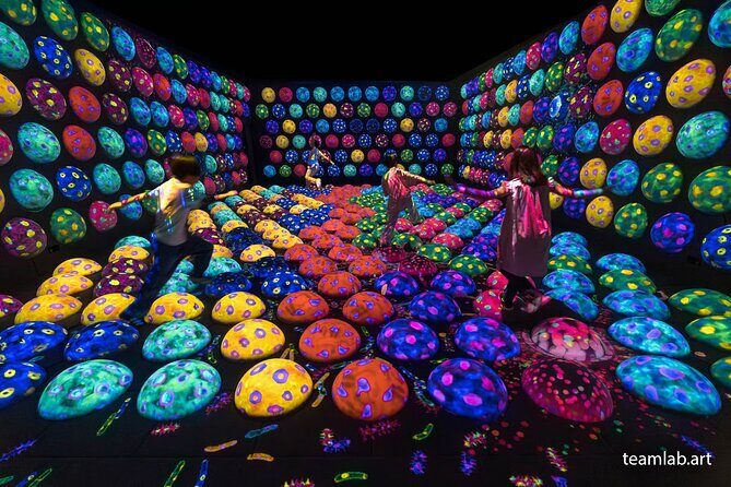 Kyoto TeamLab Biovortex & Kyoto Walking Tour - Final Thoughts