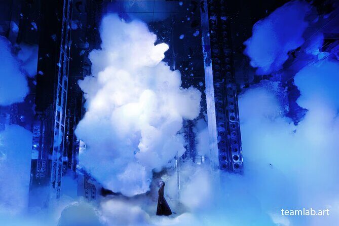 Kyoto TeamLab Biovortex & Kyoto Walking Tour - Authentic Experiences and Tips from Reviewers