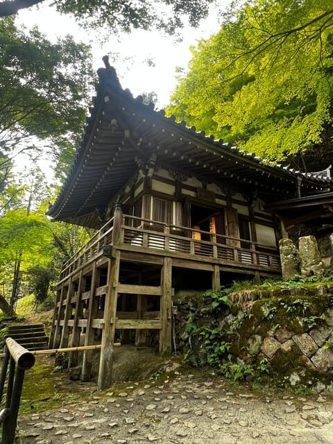 Kyoto: The Heart of Arashiyama, Bamboo Forests and Sacred Temples - Good To Know