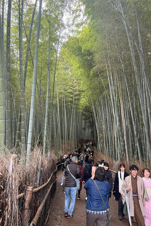 Kyoto: The Heart of Arashiyama, Bamboo Forests and Sacred Temples - Final Thoughts: Who Will Love This Tour?