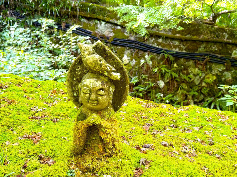 Kyoto: The Hidden Sanctuary of Sanzen-in Temple - Good To Know