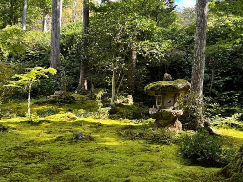 Kyoto: The Hidden Sanctuary of Sanzen-in Temple - The Experience: What You Can Expect