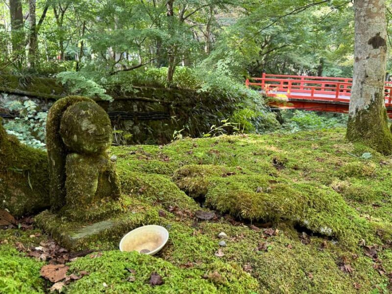 Kyoto: The Hidden Sanctuary of Sanzen-in Temple - Is This Tour Worth It?