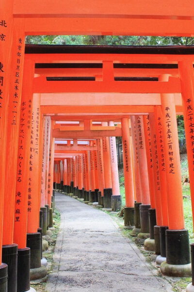 Kyoto: Timeless Majesty of Fushimi Inari Shrine Audio Guide - Spiritual Significance of Inari