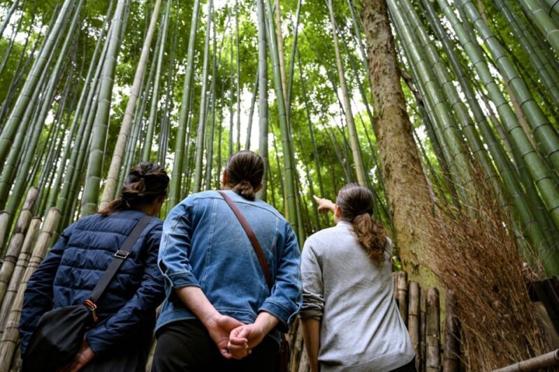 Kyoto to Arashiyama Day Trip - Private & Personalized - Authentic Moments That Set This Tour Apart