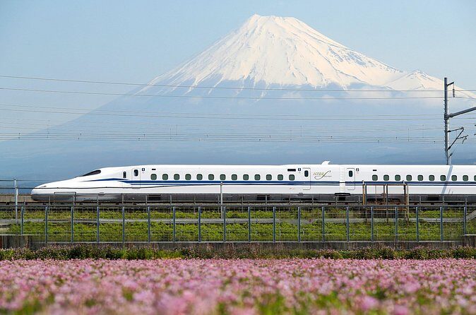 Kyoto to Tokyo Bullet Train Trip with Tokyo Subway 24 hour Ticket - Final Thoughts: Is This Tour for You?
