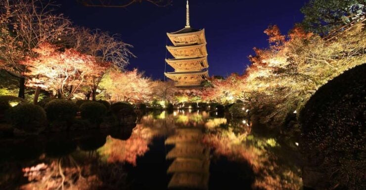 Kyoto: Toji Temple Autumn Nighttime Lightup Walking Tour - Full Description and Meeting Point
