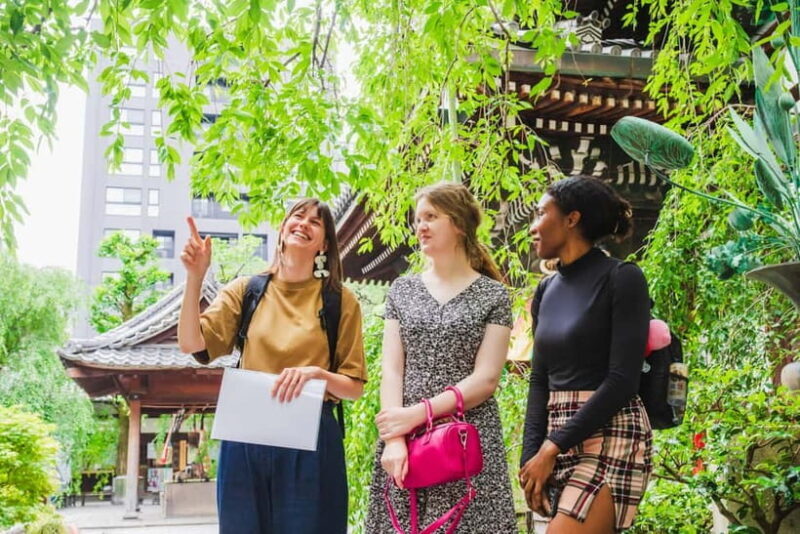 Kyoto: Top Sights Guided Tour - Gion, Kinkaku, Fushimi, Nijo - A Closer Look at the Kyoto Top Sights Guided Tour