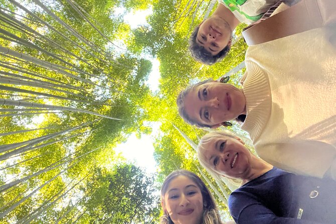 Kyoto Tour All Included With Cruise Port Pick up From Kobe - Positive Testimonials and Experiences