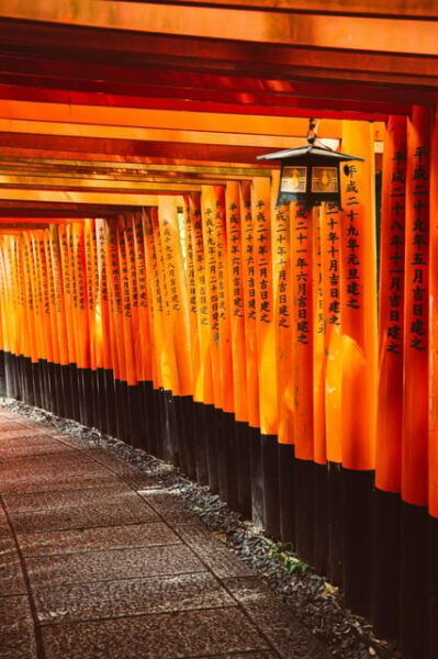 Kyoto: Trip Private Sightseeing Customised English Guided - Tips for a Great Experience