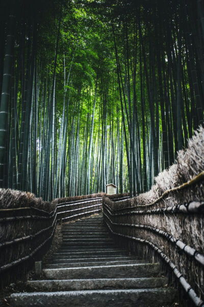 Kyoto: Trip Private Sightseeing Customised English Guided - Frequently Asked Questions