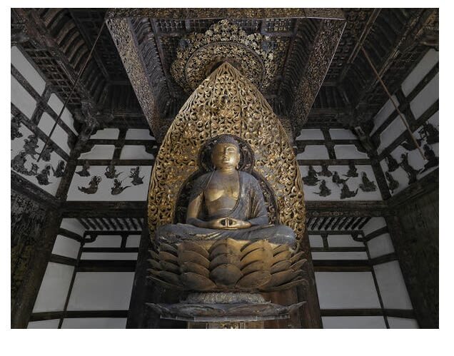 Kyoto Uji Half Day Walking Tour with Tea Ceremony Experience - Who should book this Uji walk?