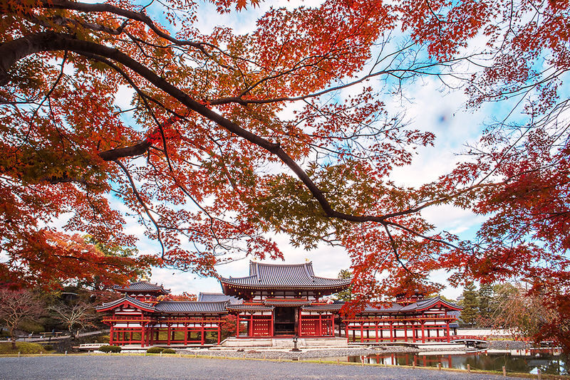 Kyoto Uji Matcha Experience & Nara Private 1-Day Tour - The day’s highlights at a glance