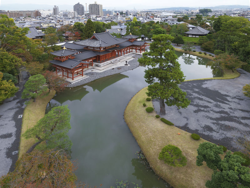 Kyoto Uji Matcha Experience & Nara Private 1-Day Tour - Price, walking, and who gets the best value