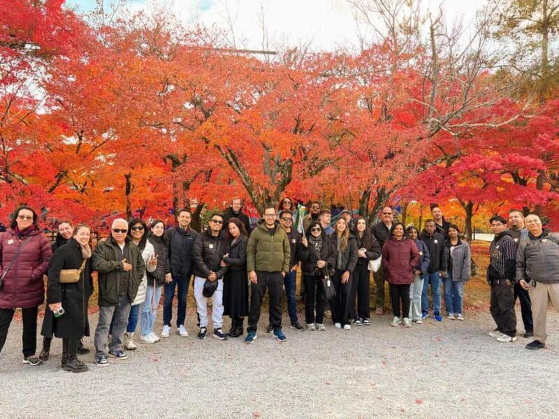 Kyoto UNESCO Treasures: Full-Day Bus Tour - An Efficient Way to See Kyoto’s Highlights