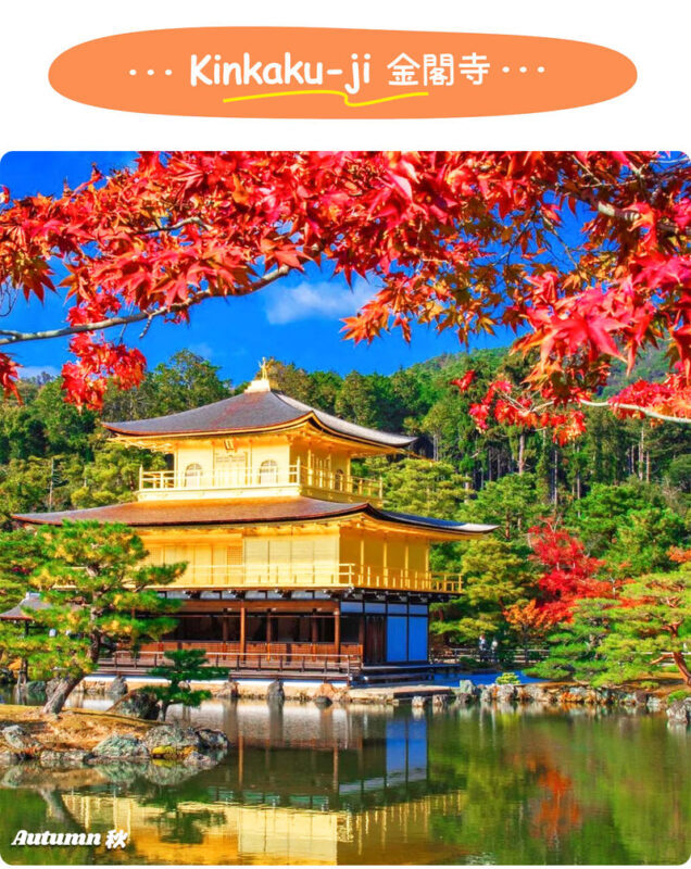 Kyoto Wafuu Journey: Kinkaku-ji & Kiyomizu-dera & Fushimi Inari-taisha Day Trip | Departure from Osaka/Kyoto - Fushimi Inari: red gates, fox charms and a firm turnaround