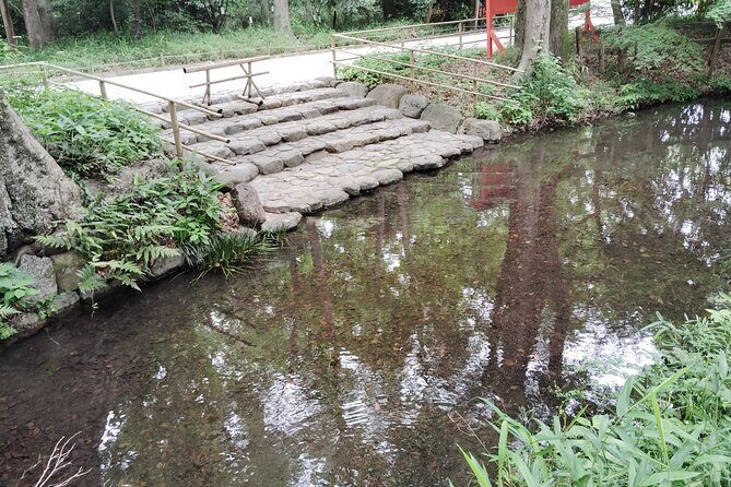 Kyoto: Walk Through History in Shimogamos Sacred Woods - What Travelers Can Expect During the Tour