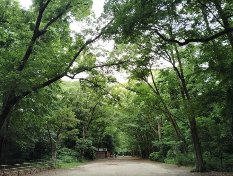 Kyoto: Walk Through History in Shimogamos Sacred Woods - FAQ