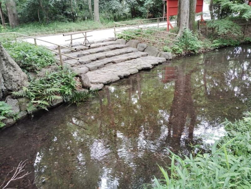 Kyoto: Walk Through History in Shimogamos Sacred Woods - Who Will Love This Tour?  