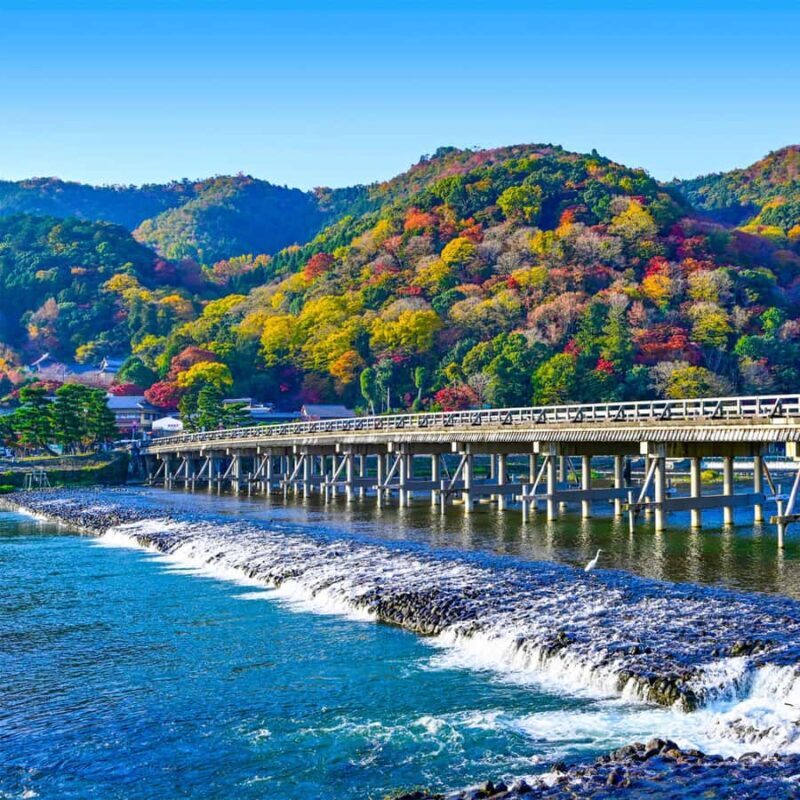 Kyoto West: Arashiyama Riverside Walk Bamboo Forest - Final Thoughts: Who Will Love This Tour?