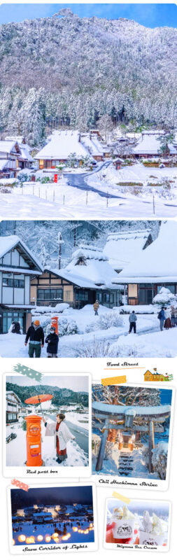 Kyoto Winter Illumination Tour - Ine Funaya & Amanohashidate & Miyama Thatched Village Winter Lantern Corridor (Including Special Experience) Day Trip (Departing from Osaka) - The real cost is time, not just the ticket