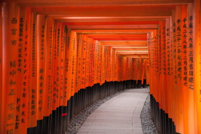 Kyoto: With Private Car Personalized Private 6-Hour Tour - Customer Feedback