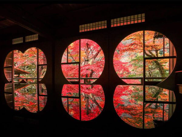 Kyoto: Zen and Tea Ceremony at Yusai-tei, Arashiyama - Accessibility Details