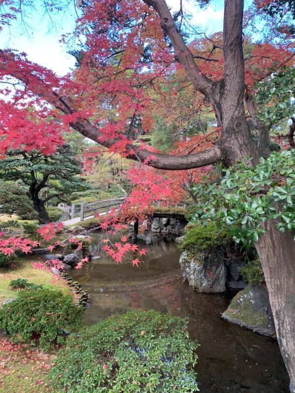 Kyoto Zen Highlights: Nanzenji, Kenninji, Tofukuji & Ginkaku - FAQ