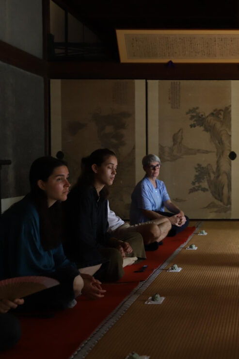 Kyoto: Zen Meditation and Tea Ceremony at a Hidden Temple - Guided Activities