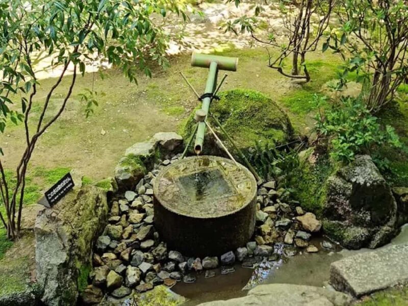 Kyoto: "Zen Moments Kyoto Temple Reflections" Tour - What Past Travelers Say