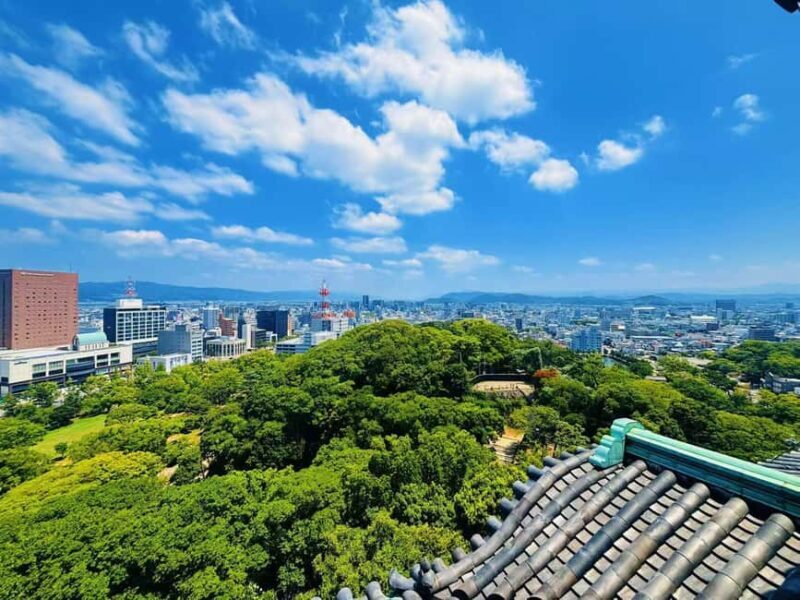 Kyoto:Kimono Tea Ceremony Experiencw Tour - Good To Know