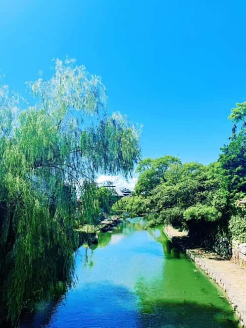 Kyoto:Kimono Tea Ceremony Experiencw Tour - Breakdown of Key Sights and Activities