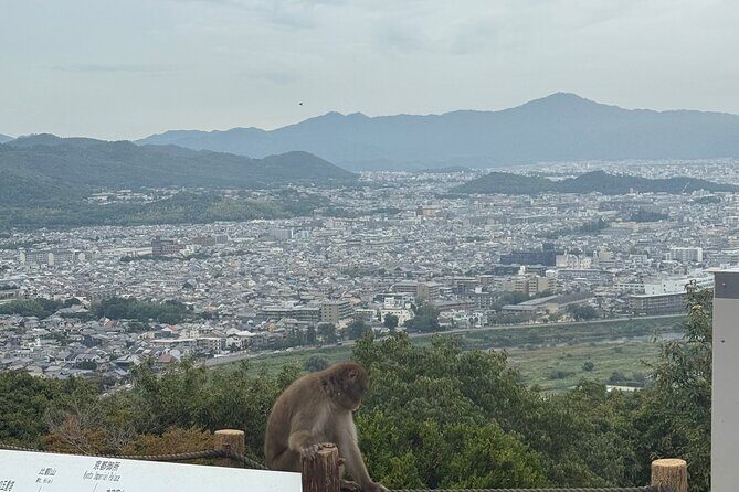 Kyoto&Nara Day Tour | English Guide & Private Vehicle - The Value of a Private Guided Tour