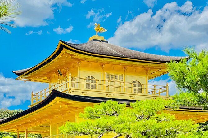 Kyoto&Nara Day Tour | English Guide & Private Vehicle - Final Thoughts: Is It Worth It?