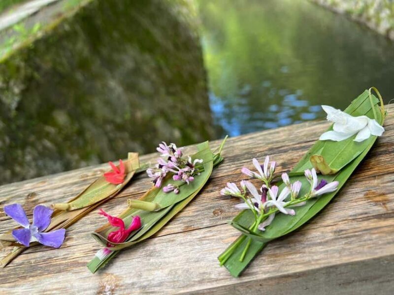 Kyoto:Philosophers Path Seasonal Walk - FAQ